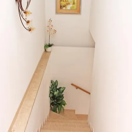 Apartment Near Amfiteatar *